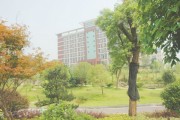 望城电子科技学校 湖南电子科技职业学院2024年单独招生简章