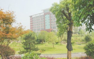 望城电子科技学校 湖南电子科技职业学院2024年单独招生简章